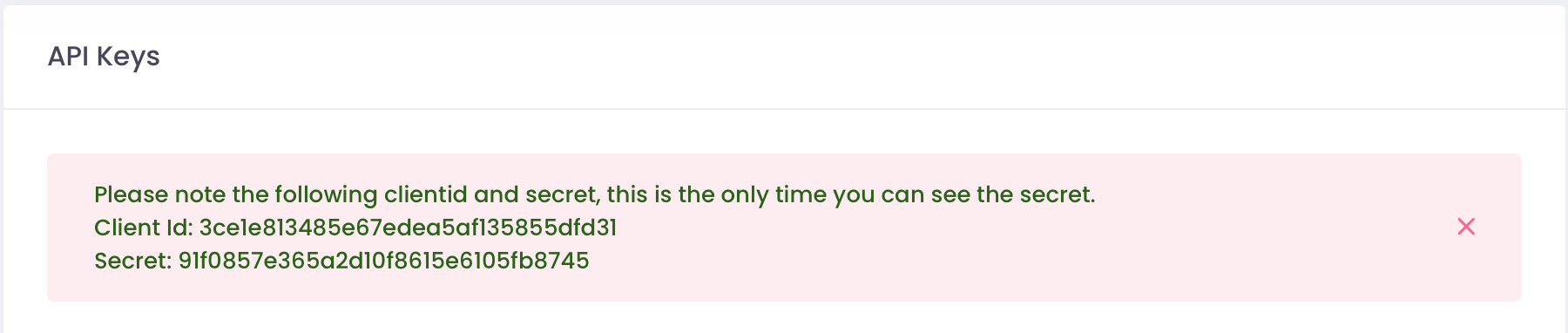 New API Key